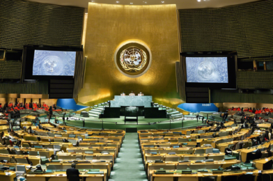 The Role of the UN in World Affairs